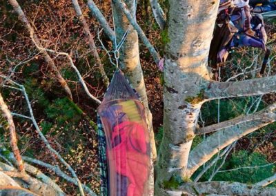 bivouac dans un Fagus sylvatica au cœur du Jura