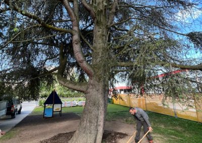 Décompactage d’un sol sur les premiers centimètres et apport de mulching pour améliorer le substrat du sol